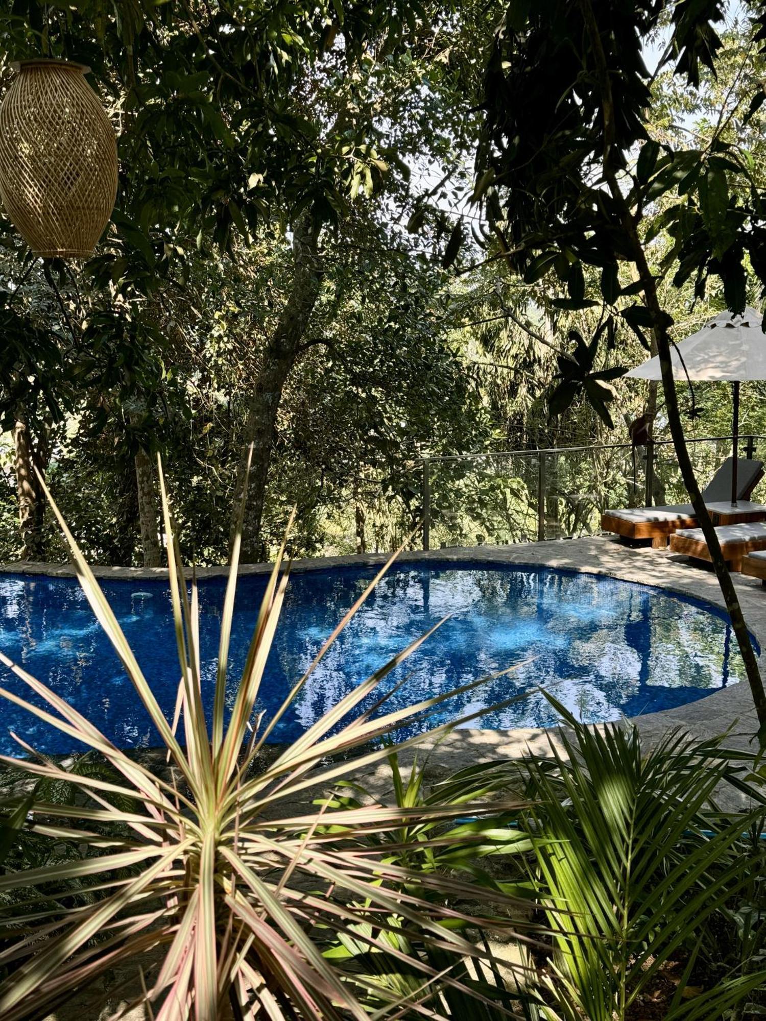 Coastline Mirissa Boutique Hotel And Spa Exteriér fotografie